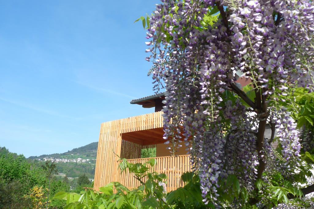 B&B Casa Sul Lago - Appartamenti Calceranica al Lago Exterior photo