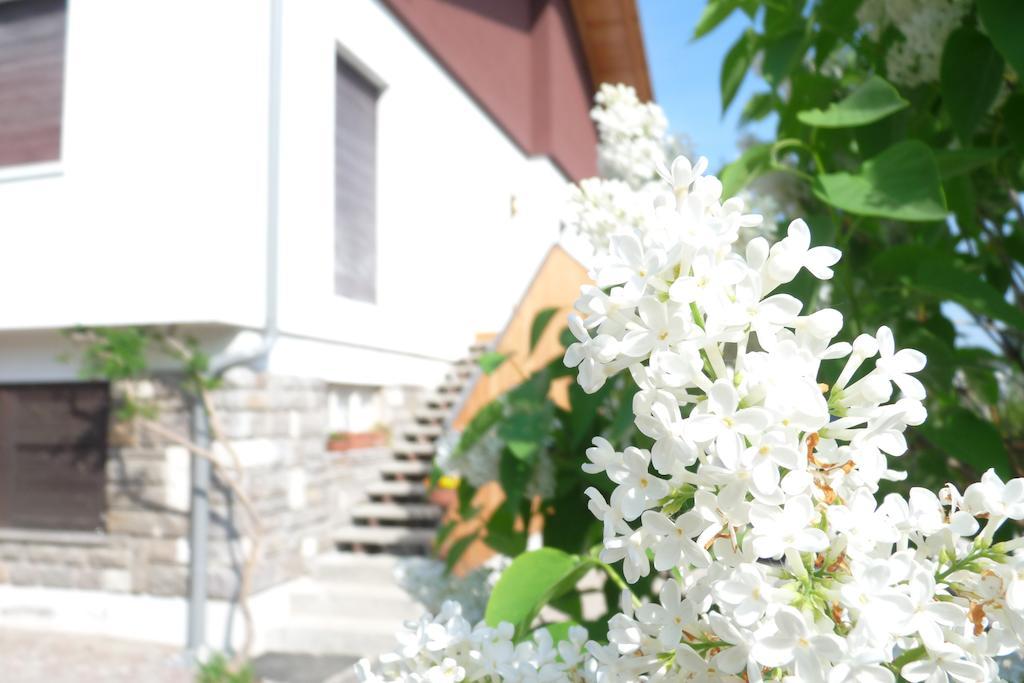 B&B Casa Sul Lago - Appartamenti Calceranica al Lago Exterior photo